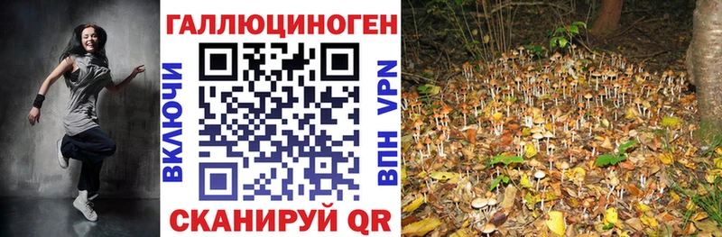 Купить Жуков Галлюциногенные грибы Psilocybe